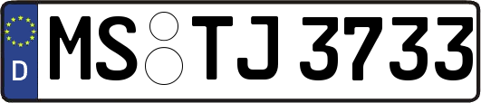 MS-TJ3733
