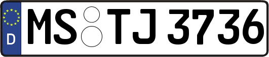 MS-TJ3736