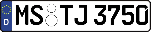 MS-TJ3750