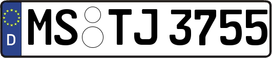 MS-TJ3755