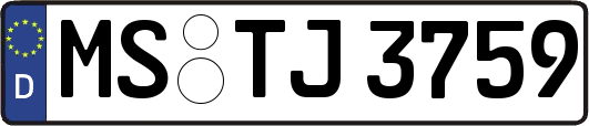 MS-TJ3759