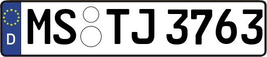 MS-TJ3763
