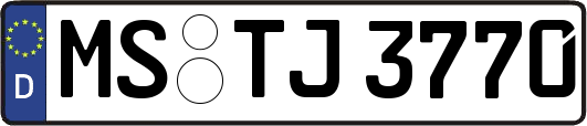 MS-TJ3770