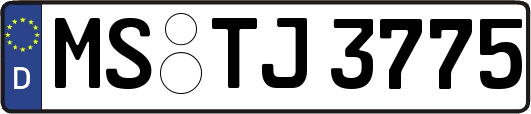 MS-TJ3775