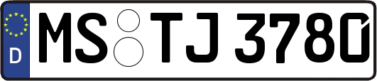 MS-TJ3780