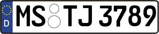 MS-TJ3789