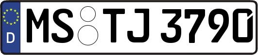 MS-TJ3790