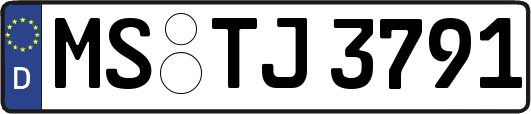 MS-TJ3791