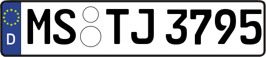 MS-TJ3795