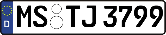 MS-TJ3799