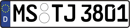 MS-TJ3801