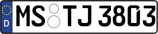 MS-TJ3803