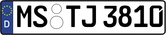 MS-TJ3810