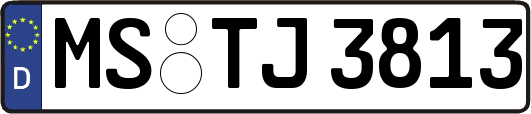 MS-TJ3813