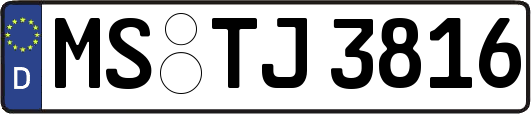 MS-TJ3816