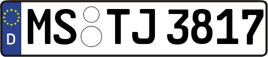 MS-TJ3817