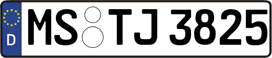 MS-TJ3825