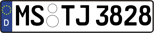 MS-TJ3828