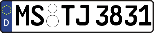 MS-TJ3831