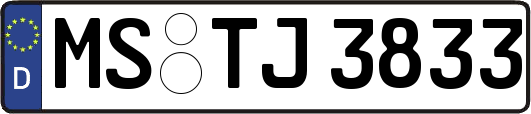 MS-TJ3833