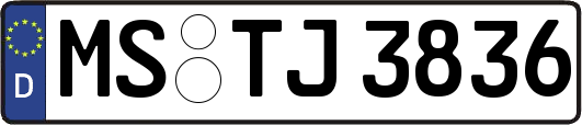 MS-TJ3836