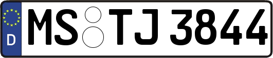 MS-TJ3844
