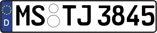 MS-TJ3845