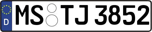 MS-TJ3852