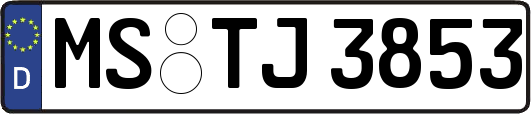 MS-TJ3853