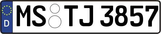 MS-TJ3857
