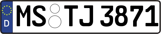 MS-TJ3871