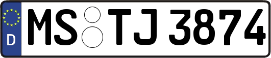 MS-TJ3874