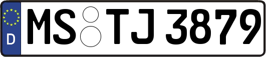 MS-TJ3879