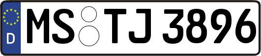 MS-TJ3896