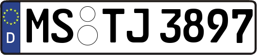 MS-TJ3897