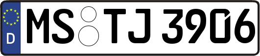 MS-TJ3906