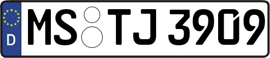 MS-TJ3909