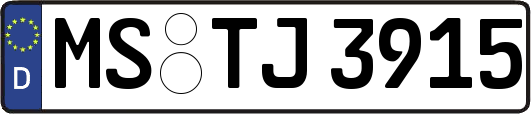 MS-TJ3915