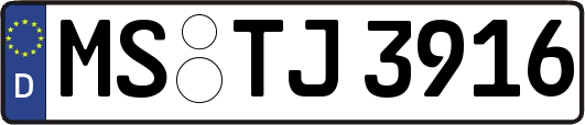 MS-TJ3916