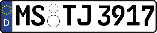 MS-TJ3917