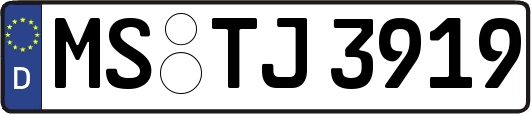 MS-TJ3919