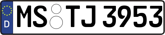 MS-TJ3953