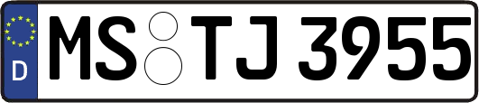MS-TJ3955