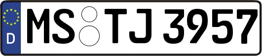 MS-TJ3957