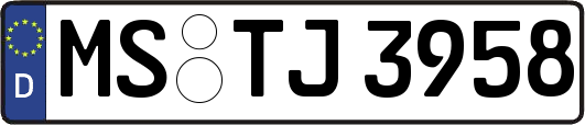 MS-TJ3958