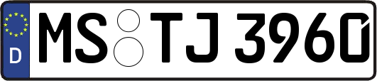 MS-TJ3960