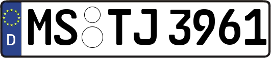 MS-TJ3961