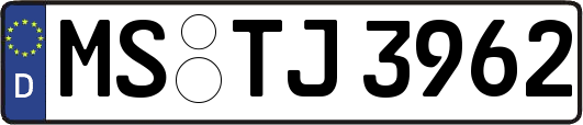 MS-TJ3962