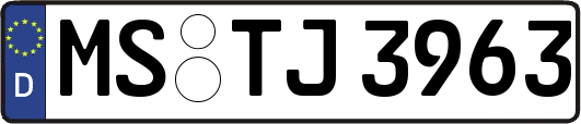 MS-TJ3963