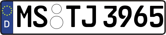 MS-TJ3965